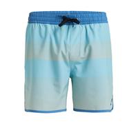 Boardshorts QUIKSILVER "Surfsilk Scallop 16"", Herren, Gr. L, aquifer tijuana, [Hauptstoff] 92% recyceltes Polyester, 8% Elastan, Hosen (40413719-L) aquifer tijuana