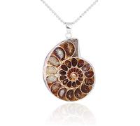 BOBEINI Natürlicher Ammonit Fossil Anhänger Schmuck Ton Silber Ammonit Fossil Stein umwickelt Anhänger Halskette Modeschmuck, Silber