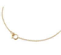 Boccia 08049-0250 Halskette aus Titan gelbgoldplattiert 50cm lang