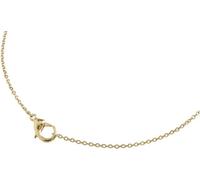 Boccia Damen Halskette 08048-02 Anker Titan goldplattiert