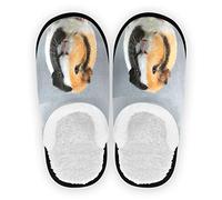 Boccsty Meerschweinchen Spa Hausschuhe Memory Foam Indoor Outdoor Rutschfeste Hausschuhe M für Herren Damen, Multi, 41.5/44.5 EU