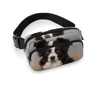 Border Collie Hüfttasche, modische Bauchtasche mit verstellbarem Gurt, für Outdoor-Workout, Radfahren, Uni, weiß, 20 x 13 cm, Hüfttasche, weiß, 20x13cm, Hüfttasche