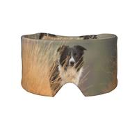 Border Collie Rasen Haustiere Schwarz Weiß Grenze, Vollständige Augenabdeckungen, lichtblockierende Augenmaske, Schlafaugen- und Ohrenschützer