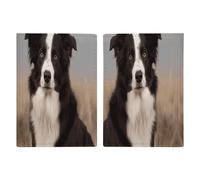 Border Collie Reisepasshülle aus Leder, minimalistische Reisepasshülle, Reisebrieftasche, Reisepassbuchhalter für Damen und Herren, Stil, 20,3 x 13,8 cm, Stil:, 20.3x13.8cm