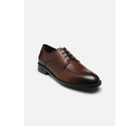 BOSS - Schnürschuhe Tayil_Derb_buvm - Braun - Größe 40