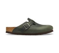 Boston LEOI Thymian 43 / Standard