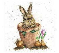 Bothy Threads Kreuzstich-Set Der Blumentopf Zählmuster, Multifarbig