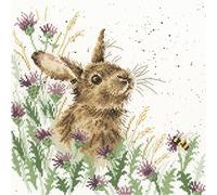 Bothy Threads Kreuzstich-Set "Die Wiese", 26x26cm, XHD30, Zählmuster