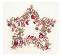 Bothy Threads Kreuzstich Stickpackung Wunderstern Zählmuster