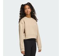 BOXY CREW SWEATSHIRT Stone Khaki 164