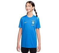 Brasilien Academy Pro Nike Dri-Fit Kurzarm-Fußballoberteil Aus Strickmaterial Für Ältere Kinder, Lt Photo Blue/Light Menta/Midwest Gold, IB5523-435, L