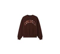 Braun S Colucci Logo Crewneck College