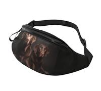 Braune Labrador Retriever Bauchtasche für Herren und Damen, leicht, verstellbar, modische Hüfttasche für Reisen, Wandern, Laufen