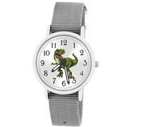 Brecjon Kinder Armbanduhr Jungen Jungenuhr Kids Dinosaurier T Rex Leuchtzeiger 5ATM Wasserdicht Textil Armband grau 5106