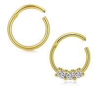 Briana Williams 2stk Gold Segmentring Clicker Septum Nasenring 16G Edelstahl 8mm Hoop Tragus Helix Piercing Ring