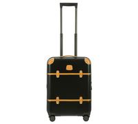 Trolley 55cm BBG28301-grün