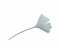 Brosche ADELIA´S "Damen Silber Schmuck 925 Silber Brosche Ginkoblatt", silber, Broschen, Damen, Silber 925 (Sterlingsilber), Silberschmuck für Damen (96948524-0) silber