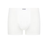 bruno banani New Antistress Pants 2er Pack White L