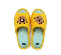 BT21 Line Friends Hausschuhe aus weichem Netzstoff, Kpop BTS Emoji, multi