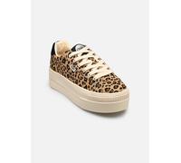 Buffalo - Paired Black/Brown Leo - Girl Schuhe - Braun - EU 39 - Textile/Textile/Gummi Braun EU 39