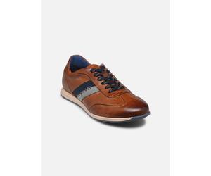 Bugatti - Vesuvio - Braun - Sneaker - Größe 41