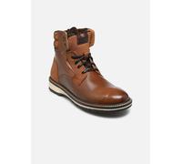 Bullboxer - Stiefeletten & Boots Jivu - Braun - Größe 42