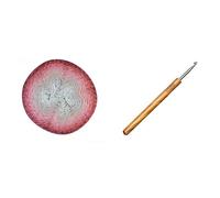 Bundle of Scheepjes 1698-753 Whirl Wolle, Cotton, Slice 'O' Cherry Pie, meer dan 100 gr, 1000 Meter + Addi AD5777015-3.75 Häkelnadeln, Wood, Holz, 23 x 4 x 2 cm