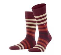 Burlington Herren Blackpool Socken Baumwolle atmungsaktiv
