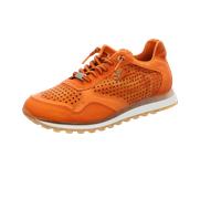 C484 braun - Gr. - 44