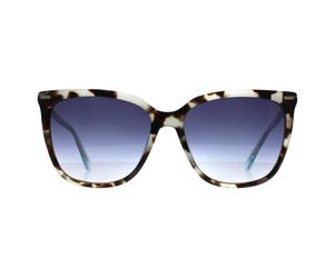 Calvin Klein Butterfly Damen Aqua Schildkröte Blau Gradient CK22532S Einheitsgröße