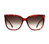 Calvin Klein Butterfly Damen Burgund Havanna Braun Farbverlauf CK22532S Einheitsgröße