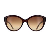 Calvin Klein Cat Eye Damen Kristall Braun Braun CK19536S Einheitsgröße