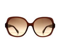 Calvin Klein Cat Eye Damen Kristall Braun Braun Farbverlauf CK19538S Einheitsgröße