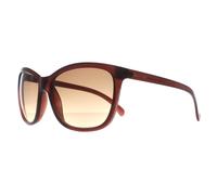 Calvin Klein Cat Eye Damen Milchig Braun Braun Farbverlauf CK19565S Einheitsgröße