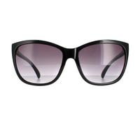 Calvin Klein Cat Eye Damen Schwarz Grau Gradient CK19565S Einheitsgröße
