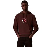 Calvin Klein Herren LS EU 350TERRY Graphic Hoodie LV04RE255G Sweatshirts, Brown (Rich Brown), XL, Braun (Rich Brown), XL