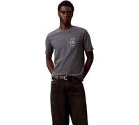 Calvin Klein Mens 20S April Graphic Seasonal Fashi LV04RE825G Graphic Tees, Grey, L
