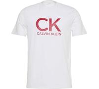 Calvin Klein Herren T-Shirt Kurzarm Graphic Tee Rundhalsausschnitt, Weiß (Brilliant White), XL