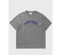 Calvin Klein Jeans 20S MARCH GRAPHIC SEASONAL FASHI men Shortsleeves grey in Größe:L