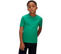Calvin Klein Kinder Unisex T-Shirt Kurzarm Mono Mini Badge aus Baumwolle, Grün (Lush Meadow 18-5845 TCX), 16 Jahre