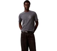 Calvin Klein Mens 20S April Graphic Seasonal Fashi LV04RE825G Graphic Tees, Grey, L