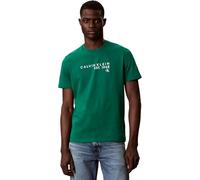 Calvin Klein Mens Ss 30S EU Wholesale Graphic Tee LV04RF800G Graphic Tees, Green, XXL