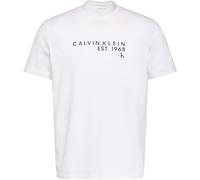 Calvin Klein Mens Ss 30S EU Wholesale Graphic Tee LV04RF800G Graphic Tees, White, L