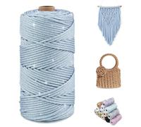 CAMAL Glitzern Makramee Garn 3mm x 100m Metallisch Garn für Taschen Häkeln & Stricken, Polyester Rope Luxus Häkelgarn für Taschen, Puppen, Decken, DIY-Dekoration (Himmelblau-Silber)