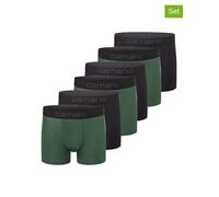 6er Pack camano Men comfort BCI cotton Boxershorts in Box 7910 - sycamore green M
