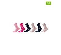 camano 6er-Set: Socken in Schwarz - Größe 39-42 | Kinder Socken Strumpfhosen