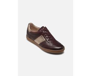 Caprice - 23705-44 - Bordeaux - Sneaker - Größe 36