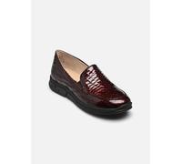 Caprice - Slipper 24651-43 - weinrot - Größe 36