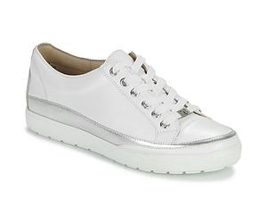 Caprice Sneaker BUSCETI in Weiss 36