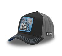 DC Comics Kappe für Damen und Herren, Trucker-Kappe, verstellbar durch Snapback, Schwarz / Grau / Blau, One size